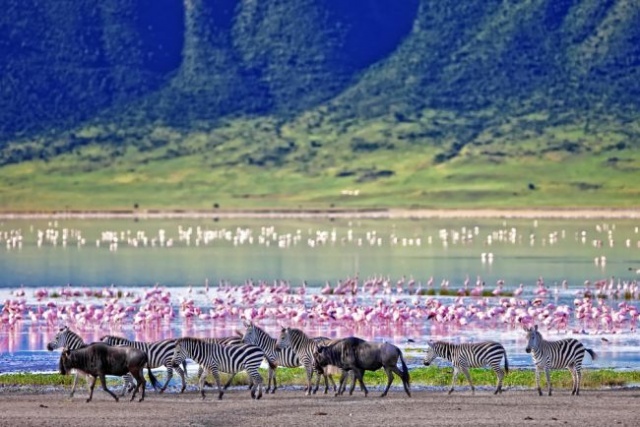 Szafari Észak-Tanzánia nemzeti parkjaiban és nyaralás a mesés Zanzibáron 2025.02.15-25.