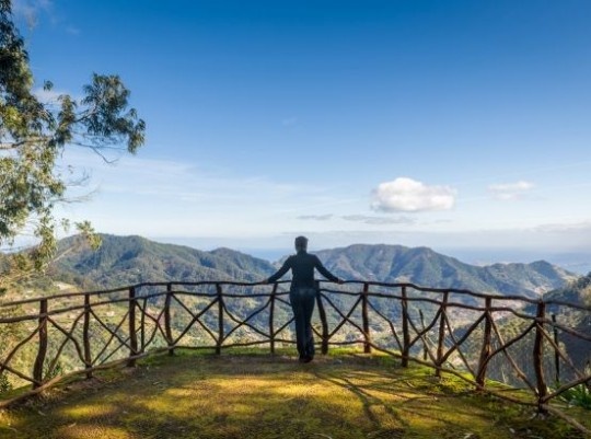 Madeira, az örök tavasz szigete - csoportos út magyar idegenvezetővel 2025.03.08-15.